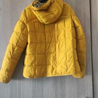 Piumino Donna Napapijri