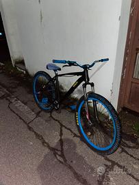 wheelie bike