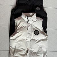Smanicato Canada Goose