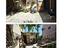 Immagine 25