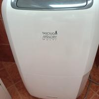 Deumidificatore DeLonghi 