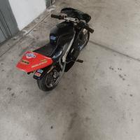 minimoto 