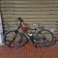 MTB Vicini da ragazzo