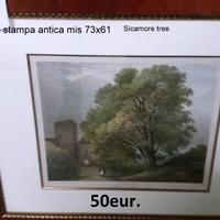 QUADRI e STAMPE