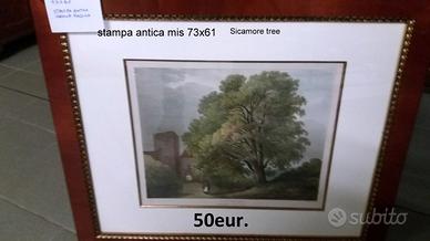 QUADRI e STAMPE