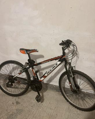 Bici ducale bambino
