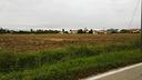 terreno-agricolo