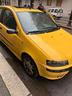 fiat-punto
