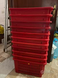 11CASSETTE AGRICOLE IN PLASTICA ROBUSTA IMPILABILI