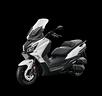 joy-max-300-z