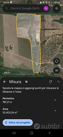 Terreno agricolo con vigneto ed uliveto