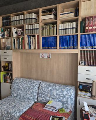 Libreria a ponte