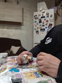 Pappagalli allevati a mano