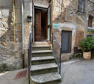 4 LOCALI A ISCHIA DI CASTRO