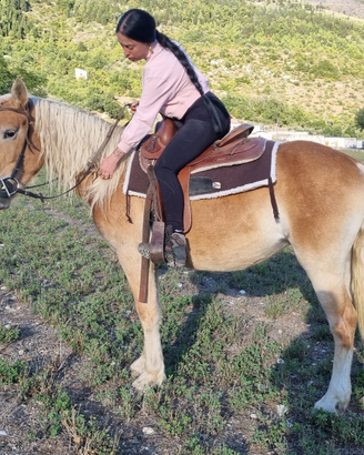 Cavalla