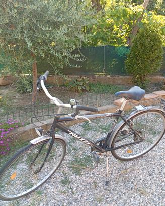 bici uomo