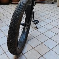 fat bike 