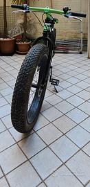 fat bike 