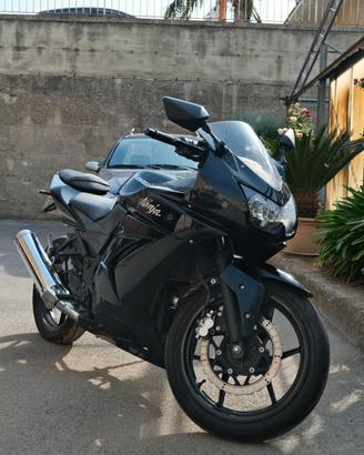 Kawasaki ninja 250r