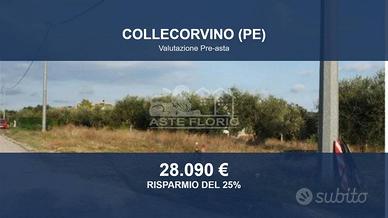 Immobile in asta di 1135 m² a Collecorvino
