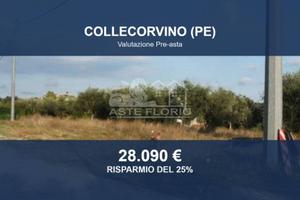 Immobile in asta di 1135 m² a Collecorvino