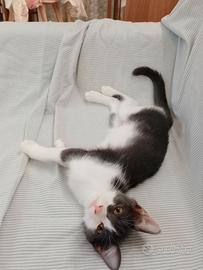 dolcissima Luna