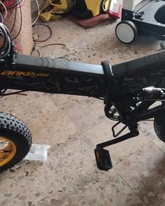 Bicicletta elettrica 1000w