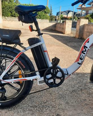 bici elettrica