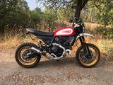 Ducati Scrambler Desert Sled special- 2017