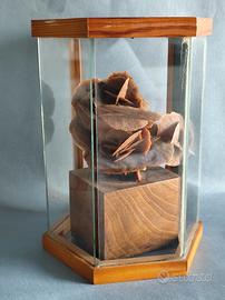 Rosa del deserto in teca di vetro 