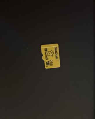 Micro SD 256 GB