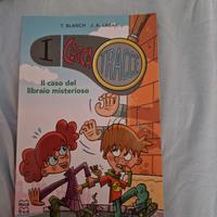 libraio misterioso-castello incantato-furto della