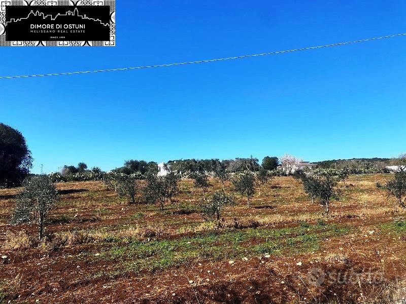 TERRENO FRONTE STRADA 1.5Ha - OSTUNI - Vista 3