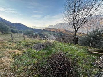 TER. AGRICOLO A LIERNA