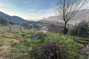 TER. AGRICOLO A LIERNA