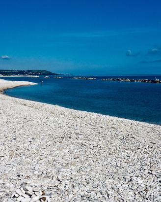 Bilocale fronte mare