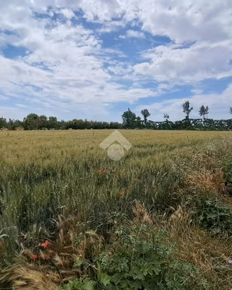 TER. AGRICOLO A VILLA LITERNO