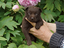 Immagine 4