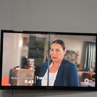 2 televisori 1, 50 pollici l'altro 32 pollici 