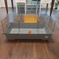gabbia per porcellino d'india 