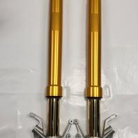 FORCELLE OHLINS YAMAHA YZF R1 R1 M R6 R9