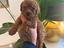 Immagine 2