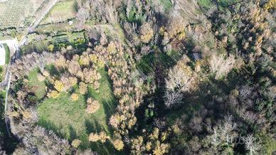 TERRENO A POLLENA TROCCHIA