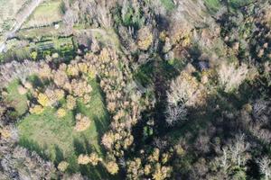 TERRENO A POLLENA TROCCHIA