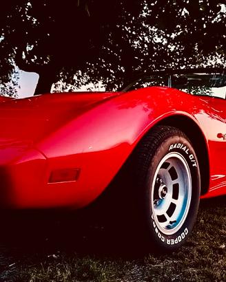 Chevrolet Corvette C3  “Silver Anniversary” 1978