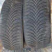 coppia pneumatici 245 45 19 102v M + S