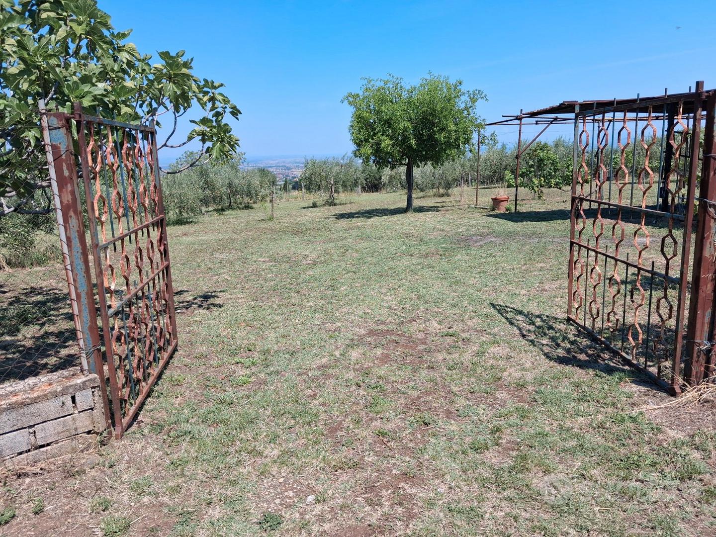 Terreno agricolo - Altro