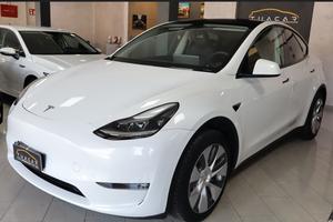 Tesla Model Y Long Range #9350