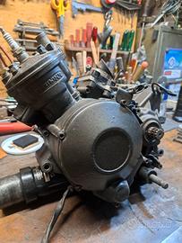 blocco motore am6 parmakit 110cc 