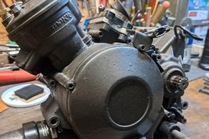 blocco motore am6 parmakit 110cc 